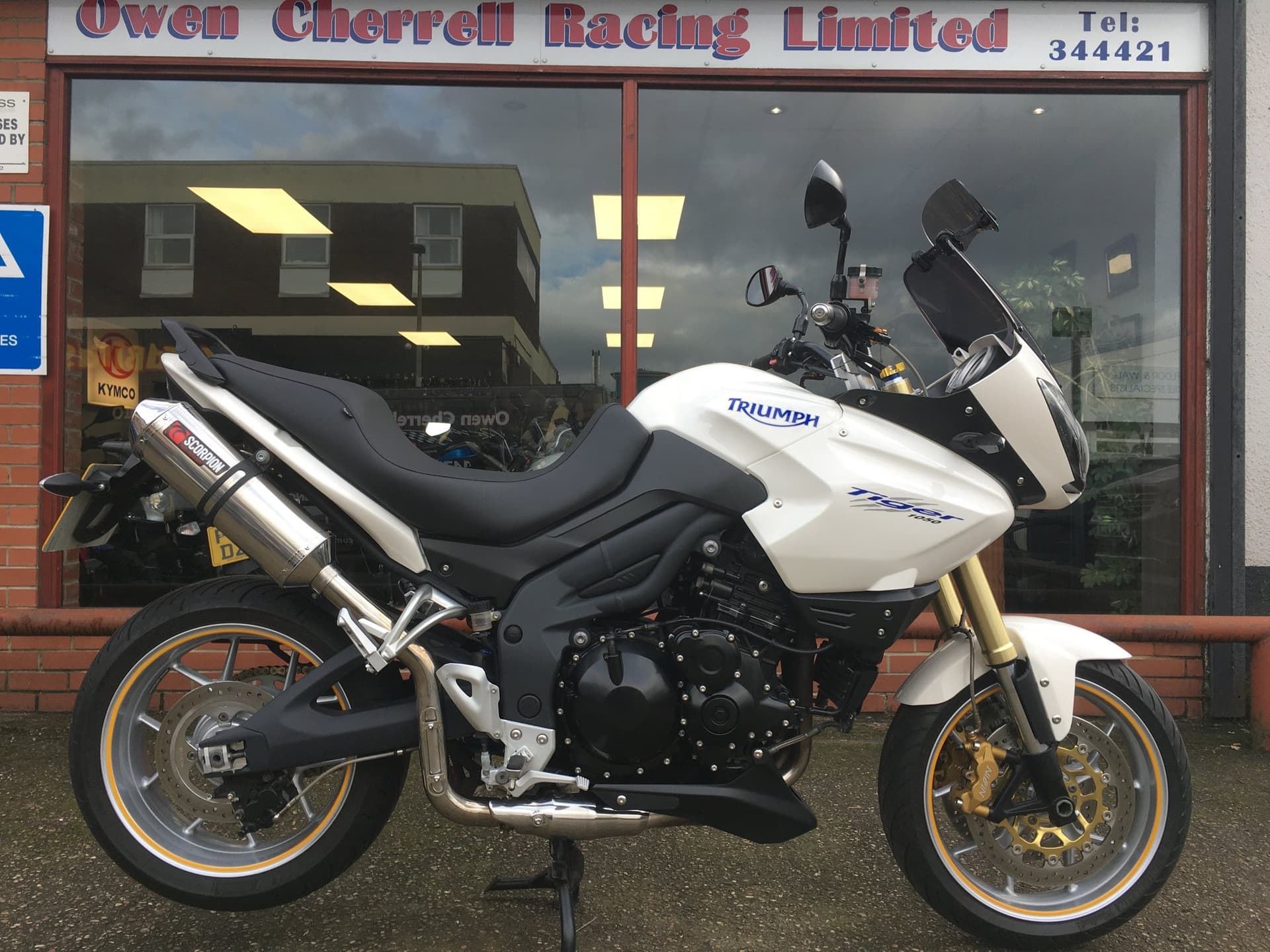 TRIUMPH TIGER 1050 - image 1